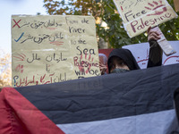 A veiled Iranian woman stands behind a Palestinian flag, while another woman (not pictured) holds up an anti-UN placard that reads, from top...