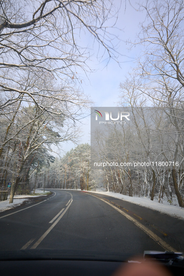 A tree lined road with snow is seen in Warsaw, Poland on 22 November, 2024. 