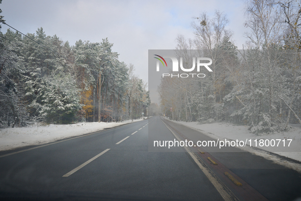 A tree lined road with snow is seen in Warsaw, Poland on 22 November, 2024. 