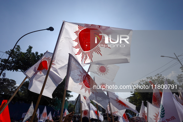 A cadre of Nepal's ruling CPN-UML holds the party flag during a protest in Kathmandu, Nepal, on November 22, 2024. 