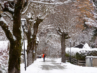 In the village of Walchensee in Upper Bavaria, in the district of Bad Tolz-Wolfratshausen, on the shores of Lake Walchensee, a winter atmosp...