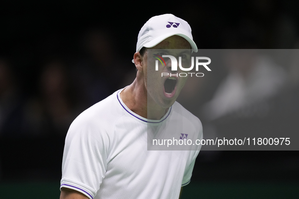 MALAGA, SPAIN - NOVEMBER 22: Daniel Altamaier of Team Germany celebrates a point during his singles match against Botic van de Zandschulp of...