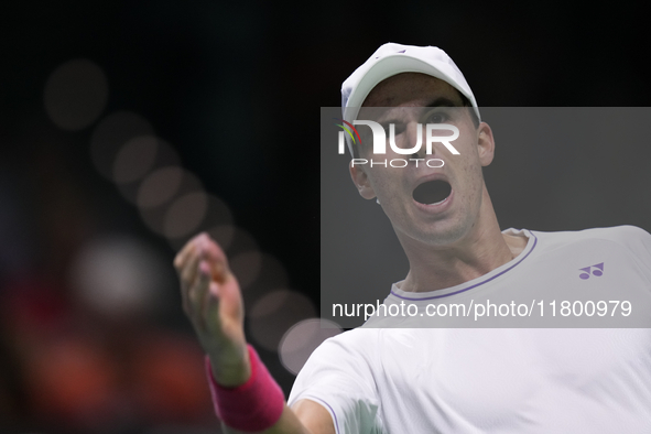 MALAGA, SPAIN - NOVEMBER 22: Daniel Altamaier of Team Germany celebrates a point during his singles match against Botic van de Zandschulp of...