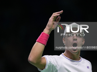 MALAGA, SPAIN - NOVEMBER 22: Daniel Altamaier of Team Germany celebrates a point during his singles match against Botic van de Zandschulp of...