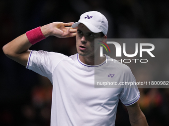 MALAGA, SPAIN - NOVEMBER 22: Daniel Altamaier of Team Germany celebrates a point during his singles match against Botic van de Zandschulp of...