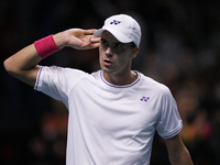 MALAGA, SPAIN - NOVEMBER 22: Daniel Altamaier of Team Germany celebrates a point during his singles match against Botic van de Zandschulp of...