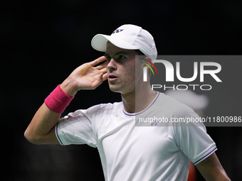 MALAGA, SPAIN - NOVEMBER 22: Daniel Altamaier of Team Germany celebrates a point during his singles match against Botic van de Zandschulp of...