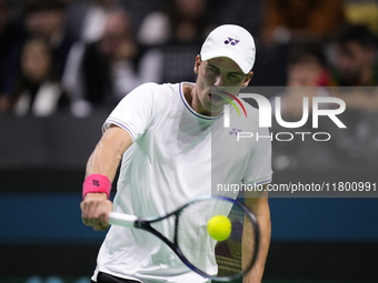 MALAGA, SPAIN - NOVEMBER 22: Daniel Altamaier of Team Germany during his singles match against Botic van de Zandschulp of Team Netherlands d...