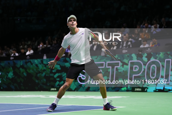 MALAGA, SPAIN - NOVEMBER 22: Daniel Altamaier of Team Germany celebrates a point during his singles match against Botic van de Zandschulp of...