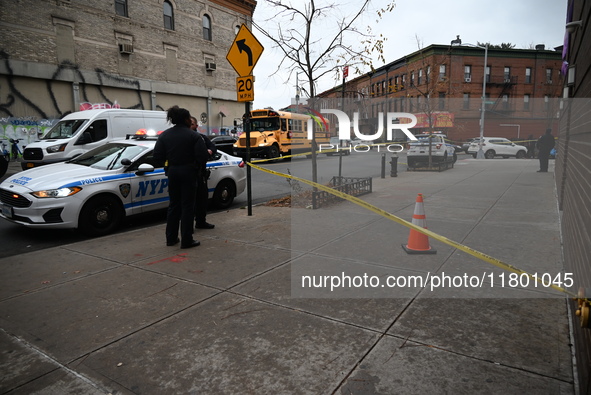 A 15-year-old boy was shot in the Bedford-Stuyvesant neighborhood of Brooklyn, New York, on November 22, 2024. The incident occurred at appr...