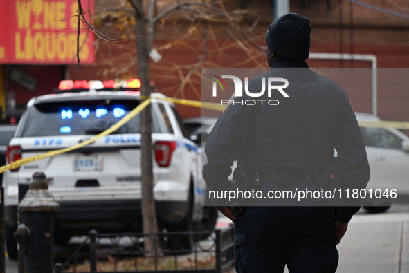 A 15-year-old boy was shot in the Bedford-Stuyvesant neighborhood of Brooklyn, New York, on November 22, 2024. The incident occurred at appr...