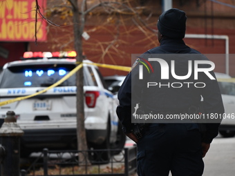 A 15-year-old boy was shot in the Bedford-Stuyvesant neighborhood of Brooklyn, New York, on November 22, 2024. The incident occurred at appr...