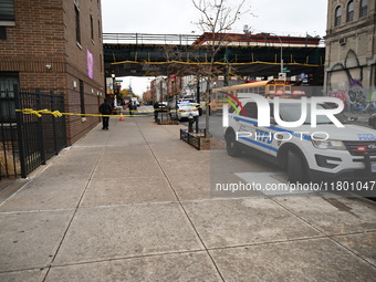 A 15-year-old boy was shot in the Bedford-Stuyvesant neighborhood of Brooklyn, New York, on November 22, 2024. The incident occurred at appr...