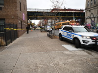 A 15-year-old boy was shot in the Bedford-Stuyvesant neighborhood of Brooklyn, New York, on November 22, 2024. The incident occurred at appr...