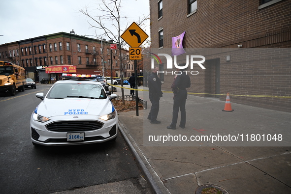 A 15-year-old boy was shot in the Bedford-Stuyvesant neighborhood of Brooklyn, New York, on November 22, 2024. The incident occurred at appr...