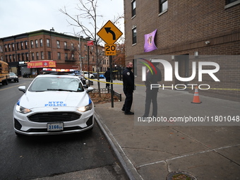 A 15-year-old boy was shot in the Bedford-Stuyvesant neighborhood of Brooklyn, New York, on November 22, 2024. The incident occurred at appr...