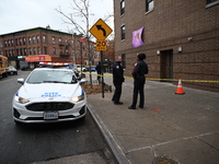 A 15-year-old boy was shot in the Bedford-Stuyvesant neighborhood of Brooklyn, New York, on November 22, 2024. The incident occurred at appr...