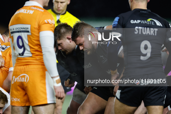 Murray McCallum of Newcastle Falcons prepares to pack down during the Premiership Cup Group A match between Newcastle Falcons and Sale FC at...