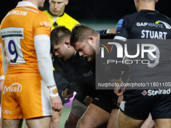 Murray McCallum of Newcastle Falcons prepares to pack down during the Premiership Cup Group A match between Newcastle Falcons and Sale FC at...