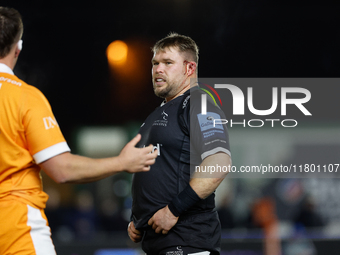 Richard Palframan of Newcastle Falcons looks on during the Premiership Cup Group A match between Newcastle Falcons and Sale FC at Kingston P...