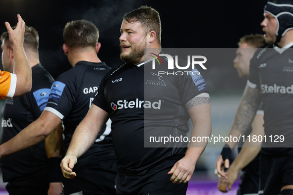 Murray McCallum of Newcastle Falcons looks on during the Premiership Cup Group A match between Newcastle Falcons and Sale FC at Kingston Par...