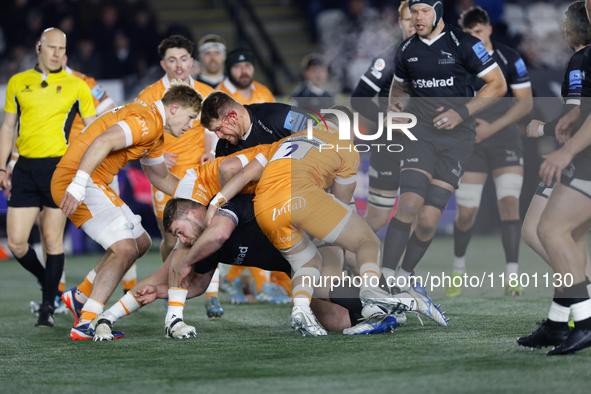 Murray McCallum and Richard Palframan of Newcastle Falcons make a tackle during the Premiership Cup Group A match between Newcastle Falcons...