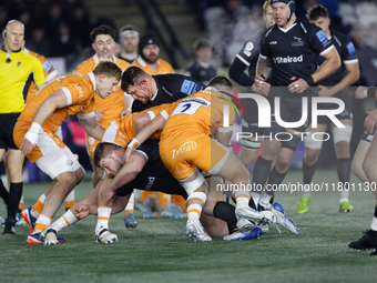 Murray McCallum and Richard Palframan of Newcastle Falcons make a tackle during the Premiership Cup Group A match between Newcastle Falcons...