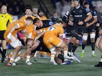 Murray McCallum and Richard Palframan of Newcastle Falcons make a tackle during the Premiership Cup Group A match between Newcastle Falcons...