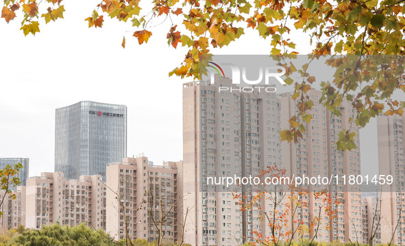 The photo shows real estate in the urban area of Huai 'an City, Jiangsu Province, China, on November 18, 2024. 