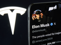 The image shows Elon Musk's personal X profile displayed on an iPhone, with the Tesla logo, his electric vehicle company, subtly visible in...