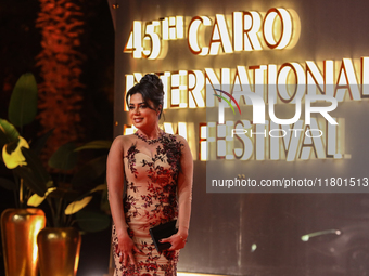 Movie star Rania Youssef is on the red carpet at the conclusion of the Cairo Film Festival in its 45th session, held at the Egyptian Opera H...