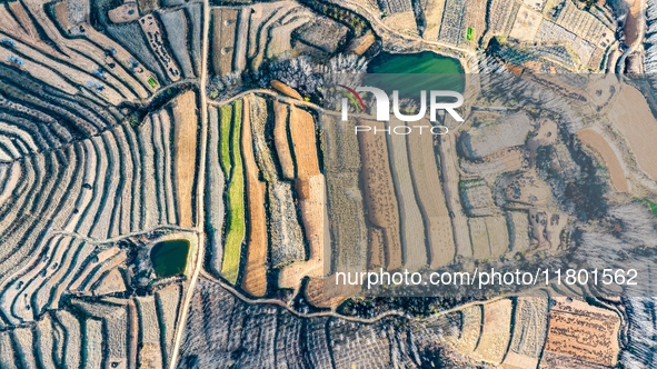 An aerial photo shows the continuous landscape of rice terraces in Anqiu, China, on November 22, 2024. 