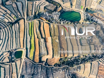 An aerial photo shows the continuous landscape of rice terraces in Anqiu, China, on November 22, 2024. (