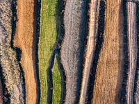 An aerial photo shows the continuous landscape of rice terraces in Anqiu, China, on November 22, 2024. (