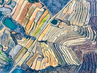 An aerial photo shows the continuous landscape of rice terraces in Anqiu, China, on November 22, 2024. (