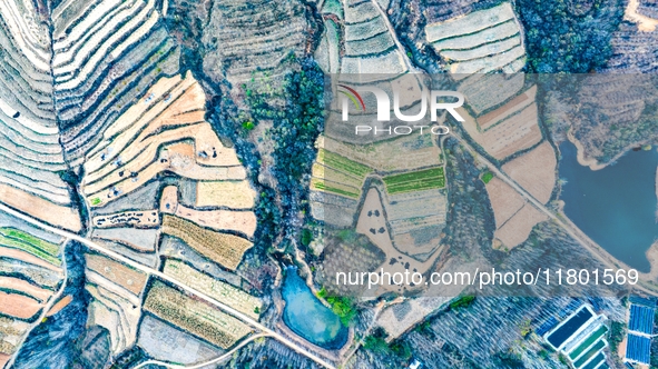 An aerial photo shows the continuous landscape of rice terraces in Anqiu, China, on November 22, 2024. 