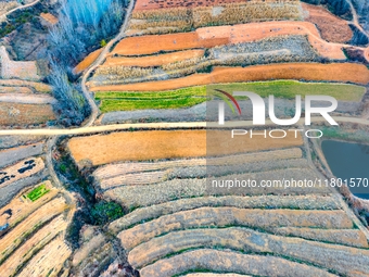 An aerial photo shows the continuous landscape of rice terraces in Anqiu, China, on November 22, 2024. (