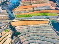 An aerial photo shows the continuous landscape of rice terraces in Anqiu, China, on November 22, 2024. (