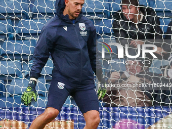 During the Sky Bet Championship match between West Bromwich Albion and Norwich City at The Hawthorns in West Bromwich, England, on November...