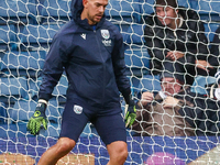 During the Sky Bet Championship match between West Bromwich Albion and Norwich City at The Hawthorns in West Bromwich, England, on November...