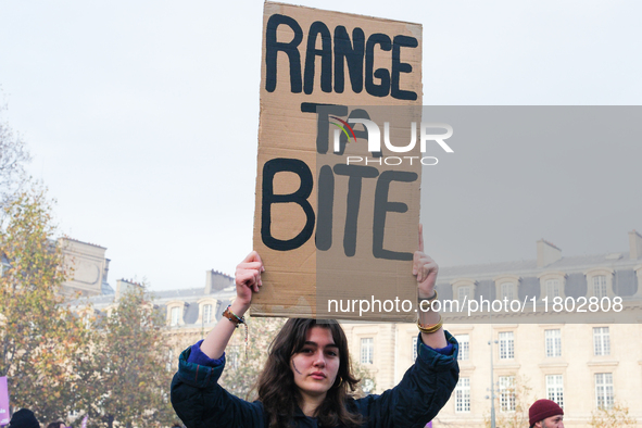 Feminist demonstration against gender and sexual violence in Paris, France on November 23 2024.