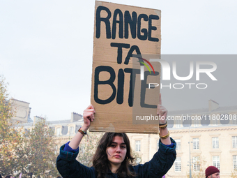 Feminist demonstration against gender and sexual violence in Paris, France on November 23 2024.(