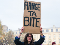 Feminist demonstration against gender and sexual violence in Paris, France on November 23 2024.(