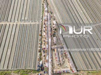 An aerial view shows temporary worker housing amidst a brick factory in Munshiganj, Bangladesh, on November 23, 2024. (