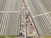 An aerial view shows temporary worker housing amidst a brick factory in Munshiganj, Bangladesh, on November 23, 2024. (