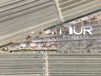 An aerial view shows temporary worker housing amidst a brick factory in Munshiganj, Bangladesh, on November 23, 2024. (