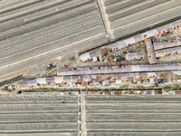 An aerial view shows temporary worker housing amidst a brick factory in Munshiganj, Bangladesh, on November 23, 2024. (