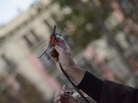 A massive demonstration takes place through the streets of Barcelona, Spain, on November 23, 2024, to protest against rising rents and for t...