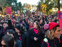 The ''Non Una Di Meno'' movement holds a demonstration named ''Disarm the Patriarchy'' in Rome, Italy, on November 23, 2024. Thousands of pe...