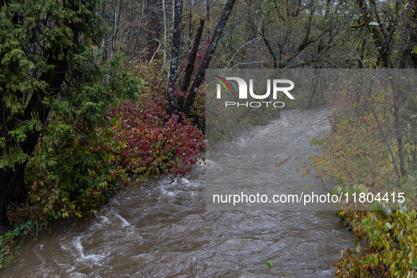 Rain from an atmospheric river swells Wolf Creek in Grass Valley, Calif., on November 23, 2024. 